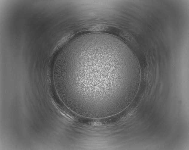 X0000061720303200512161602