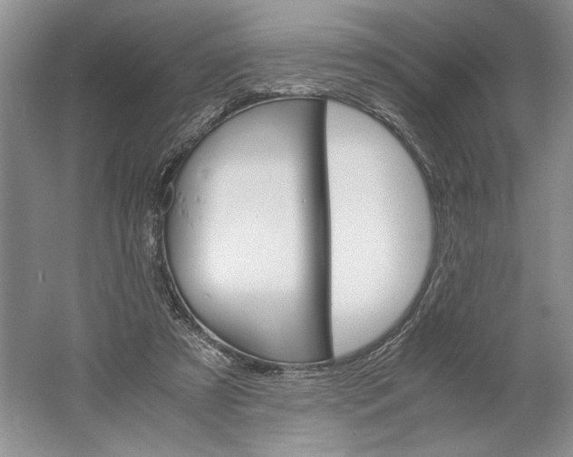 X0000061720305200512161602