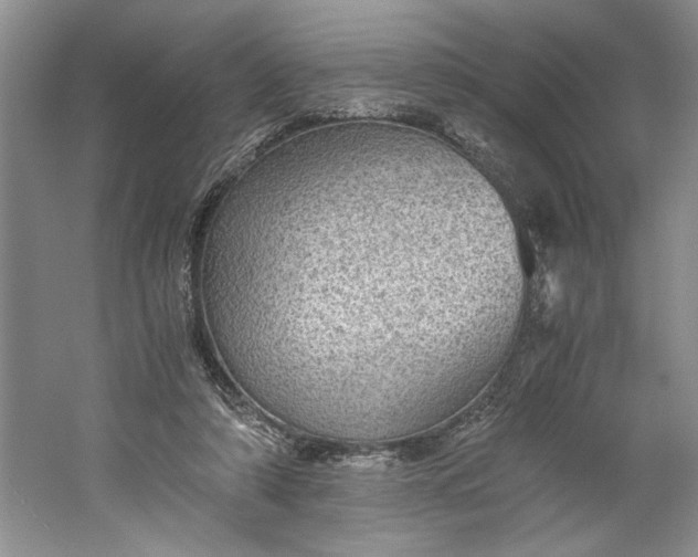 X0000061720306200512161602