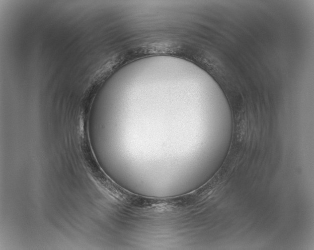 X0000061720310200512161602