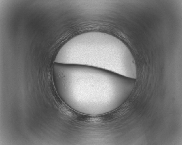 X0000061720313200512161602