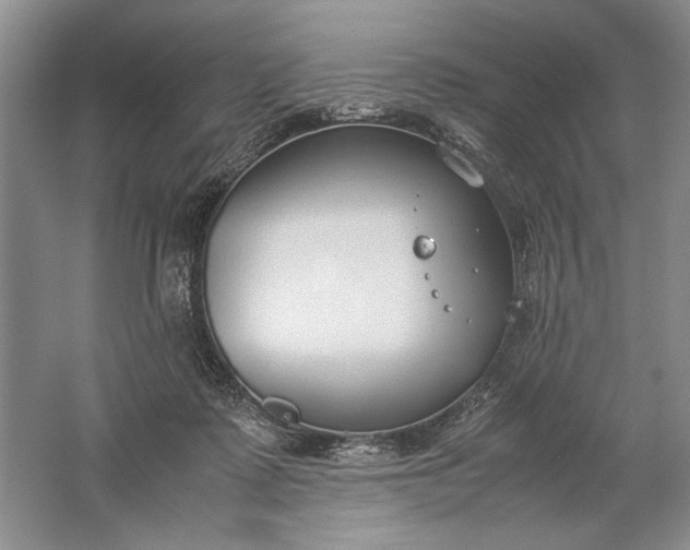 X0000061720315200512161602