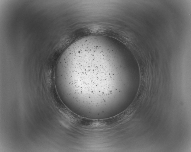 X0000061720319200512161602