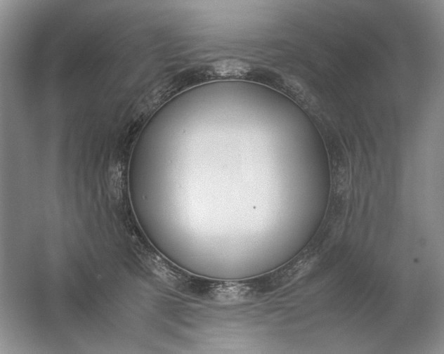 X0000061720321200512161602