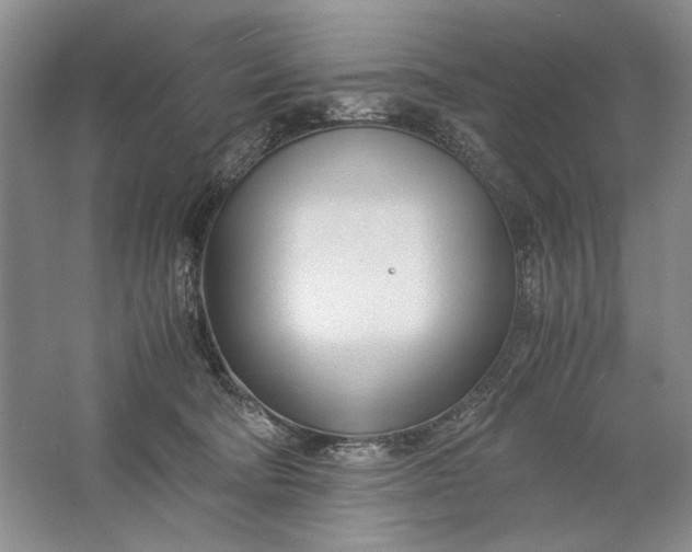 X0000061720322200512161602