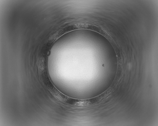 X0000061720323200512161602