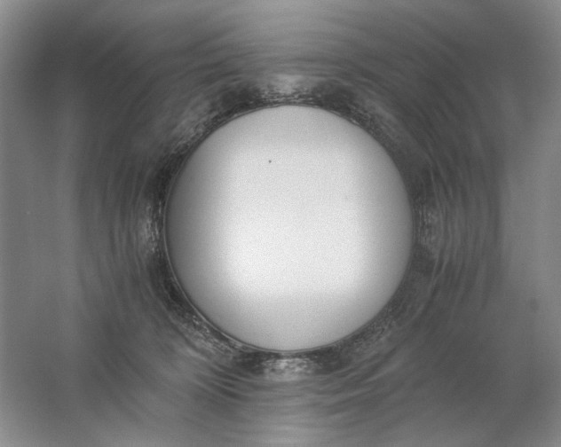 X0000061720324200512161602