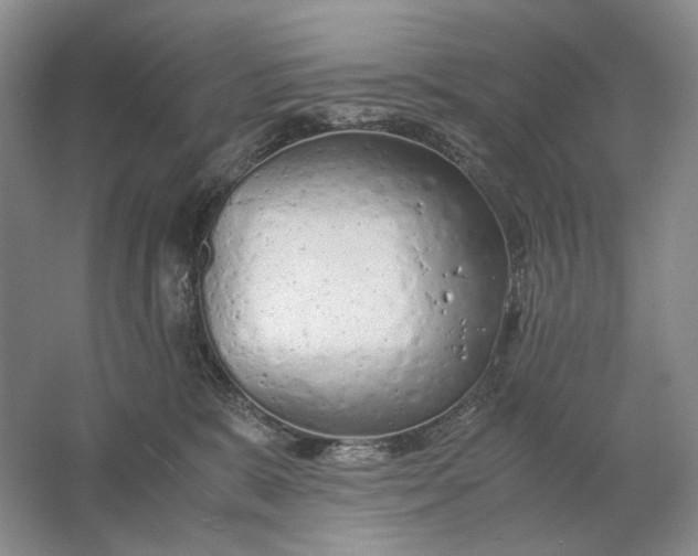 X0000061720327200512161602