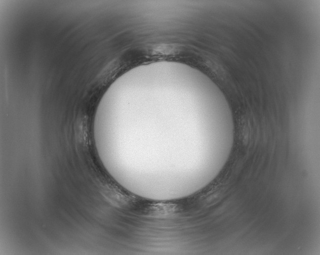 X0000061720328200512161602