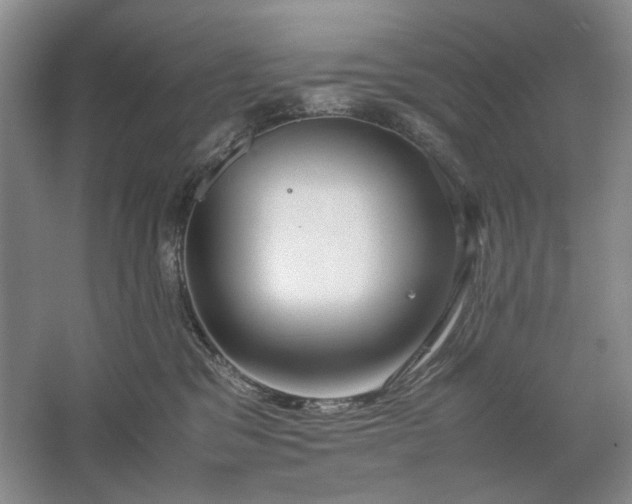 X0000061720329200512161602