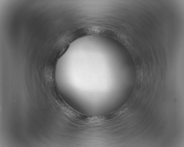 X0000061720331200512161602