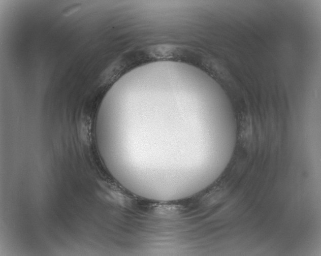 X0000061720332200512161602