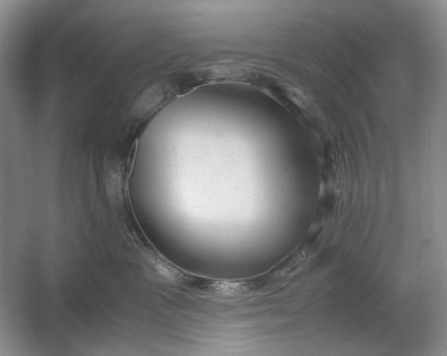 X0000061720333200512161602