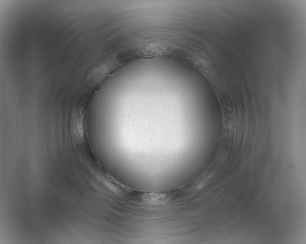 X0000061720334200512161602