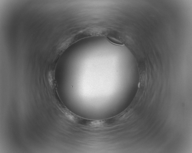 X0000061720335200512161602