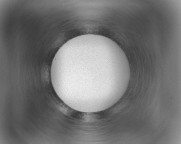 X0000061720336200512161602