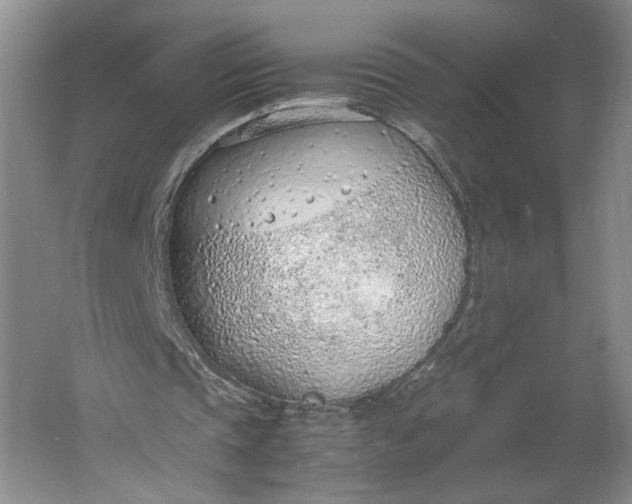 X0000061720337200512161601