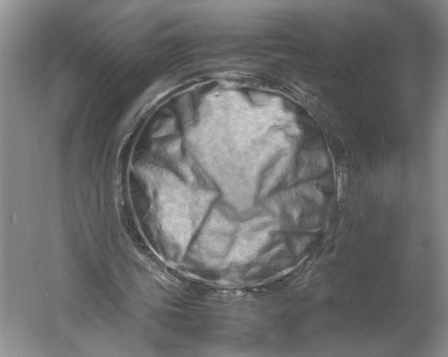 X0000061720339200512161601