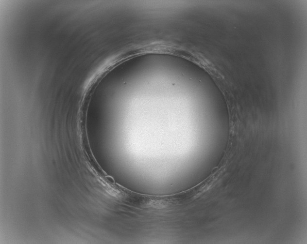 X0000061720341200512161601