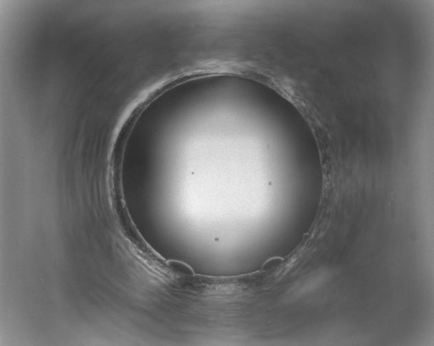 X0000061720342200512161601