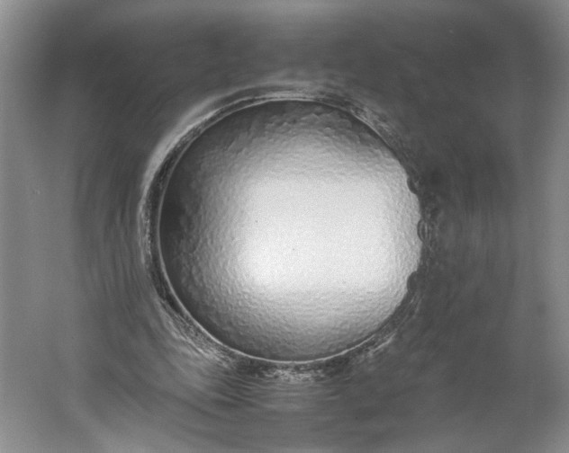 X0000061720343200512161601