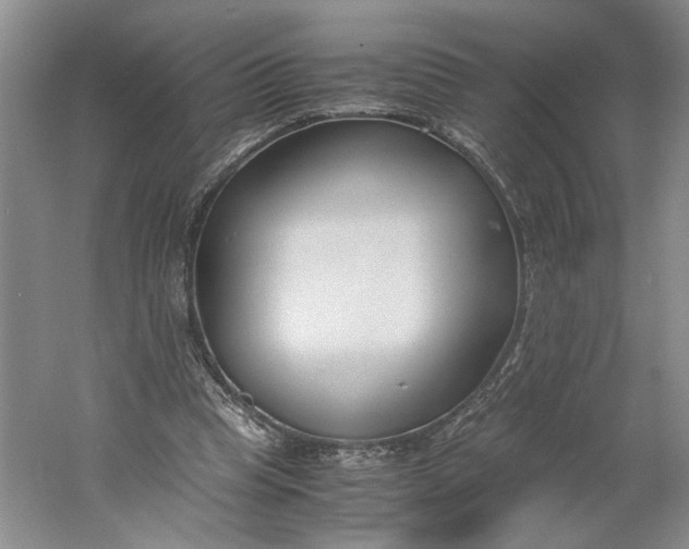 X0000061720345200512161601