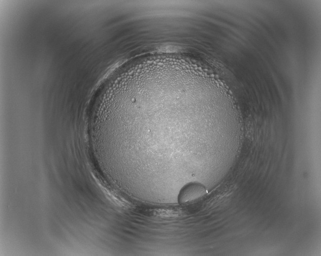 X0000061720347200512161601