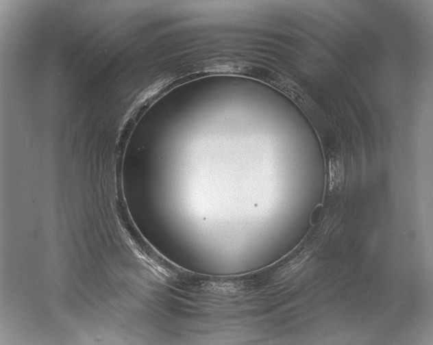 X0000061720349200512161601