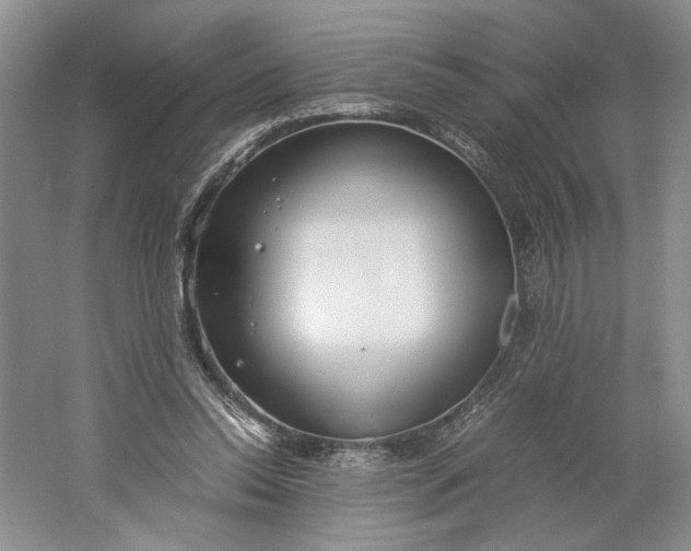 X0000061720350200512161601