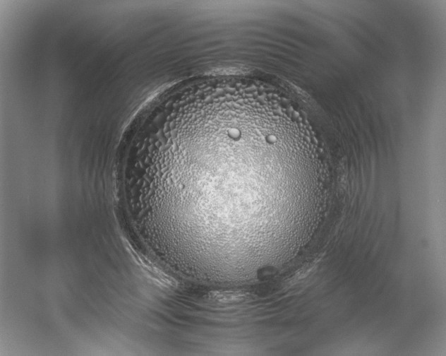 X0000061720351200512161601