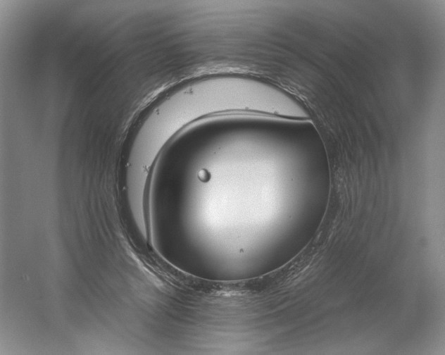 X0000061720352200512161601