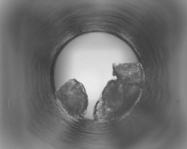 X0000061720353200512161601