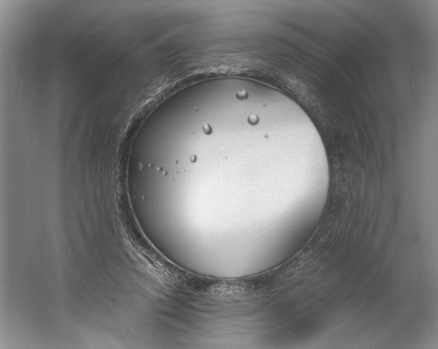 X0000061720354200512161601