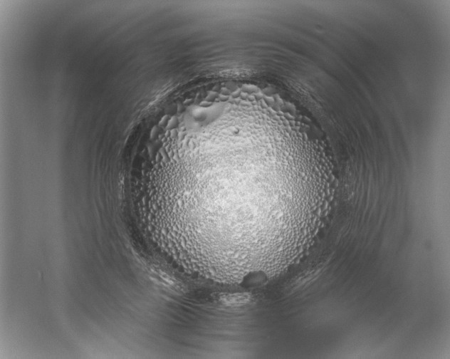 X0000061720355200512161601