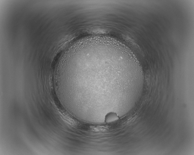 X0000061720359200512161601