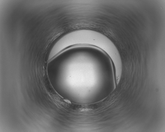 X0000061720360200512161601