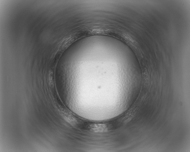 X0000061720361200512161601