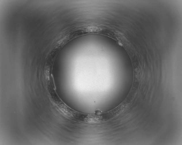 X0000061720368200512161601