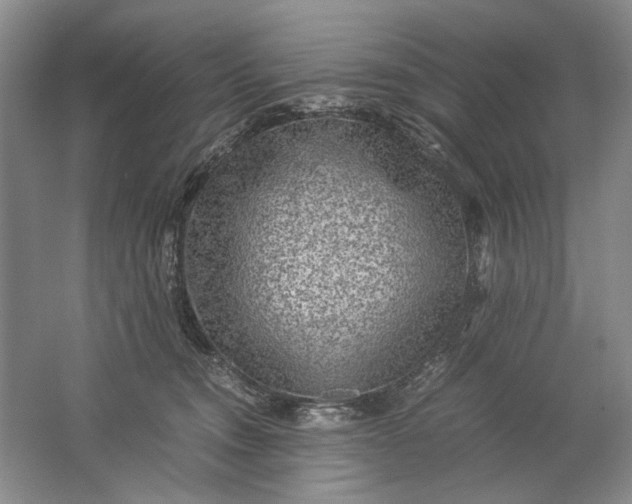 X0000061720372200512161601