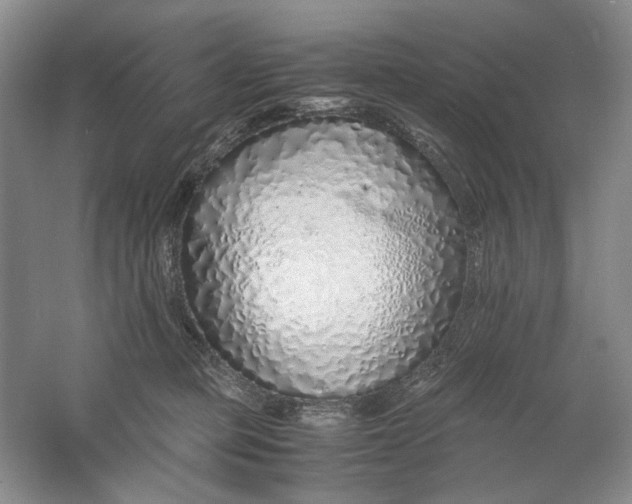 X0000061720373200512161601