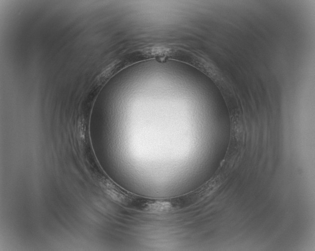 X0000061720374200512161602