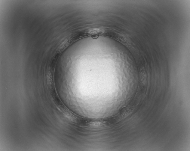 X0000061720375200512161602