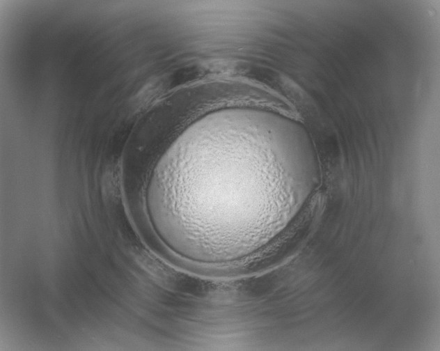 X0000061720376200512161602