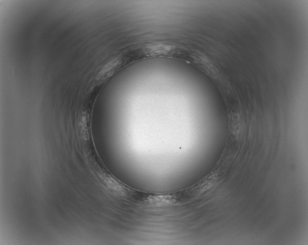 X0000061720378200512161602