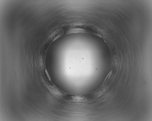 X0000061720380200512161602