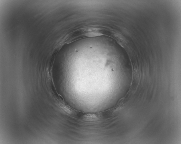 X0000061720381200512161602