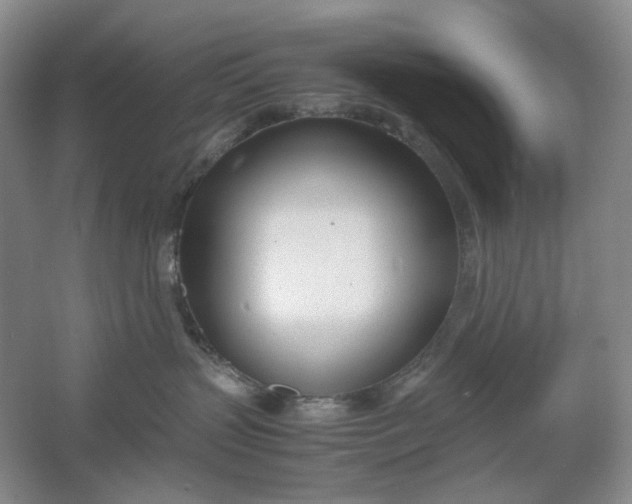 X0000061720383200512161602