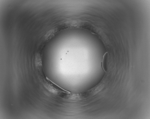 X0000061720384200512161602