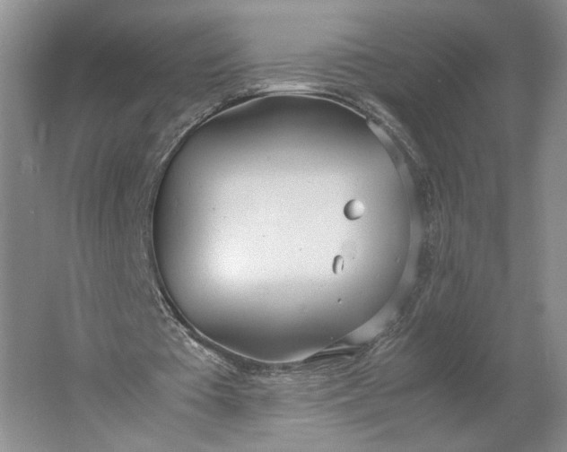 X0000061720385200512161601