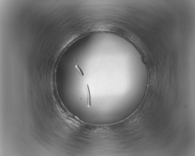 X0000061720386200512161601